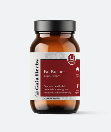 Fat-Burner-Thumbnail-1