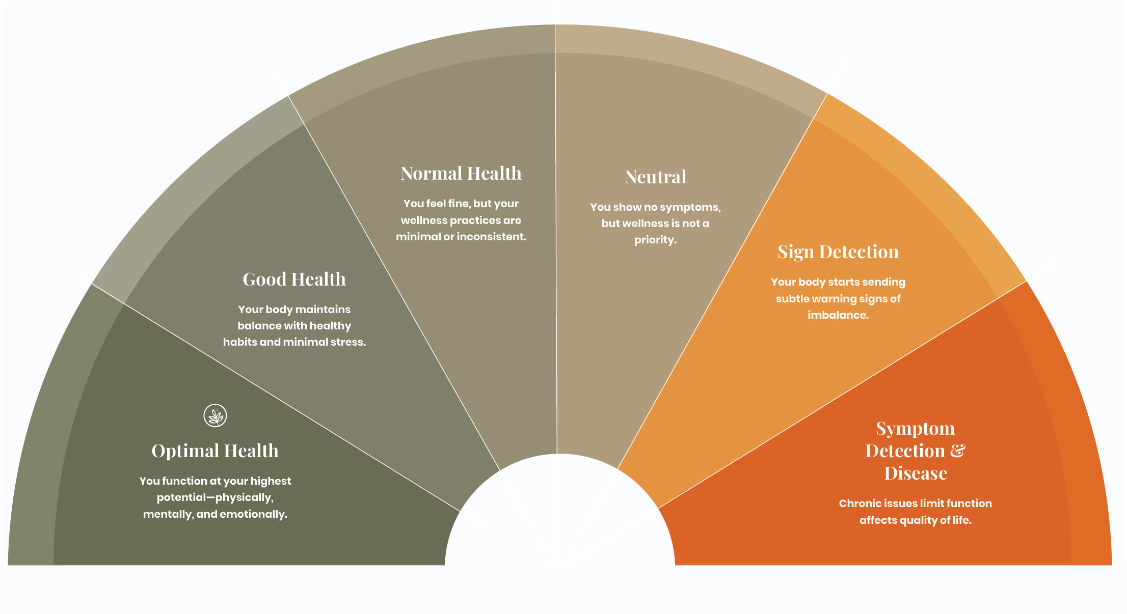 Gaia Website-Our Story-2